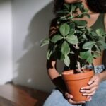 woman sitting on bench holding plant in pot