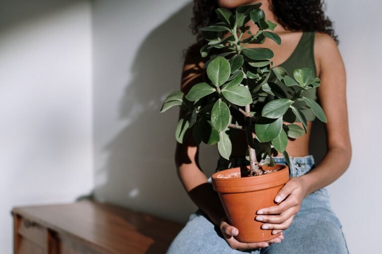 woman sitting on bench holding plant in pot